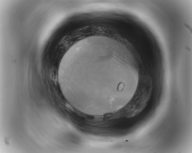 X0000102300766200808152018