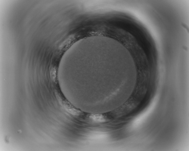 X0000102300767200808152018