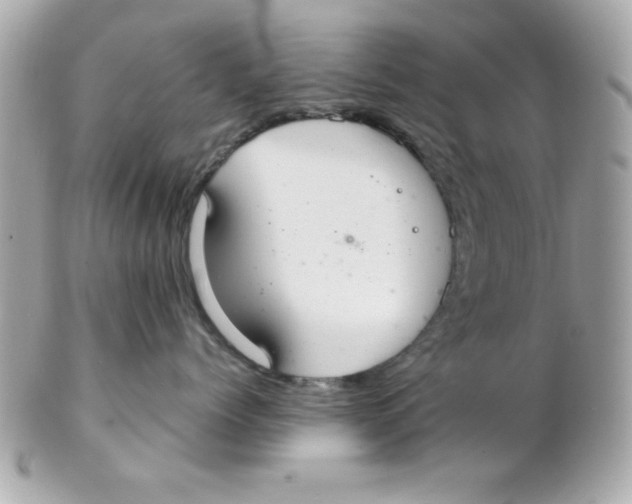 X0000102300768200808152018