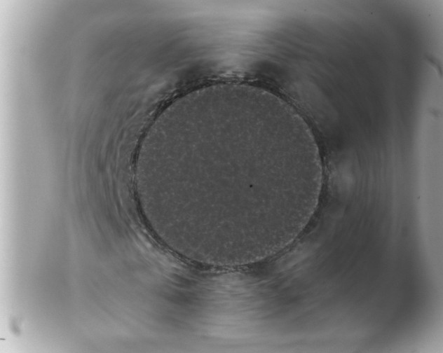 X0000102300769200808152017