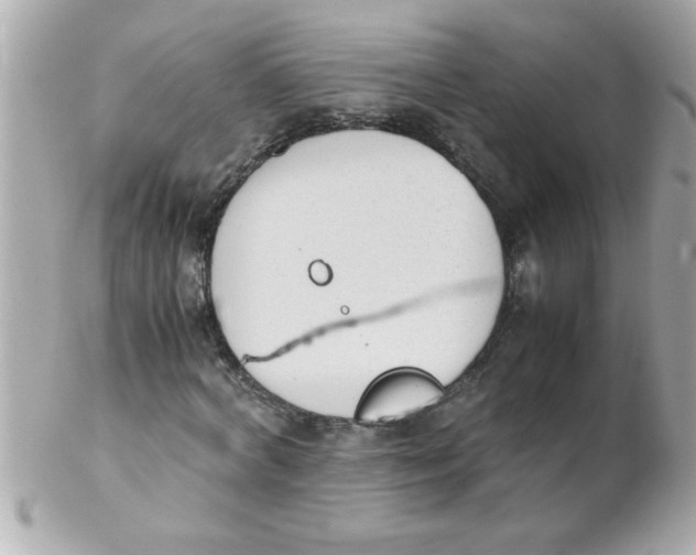 X0000102300772200808152017