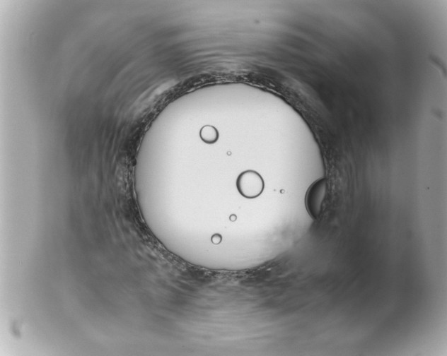 X0000102300773200808152017