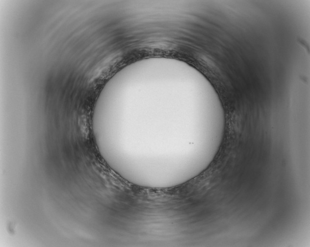 X0000102300774200808152017