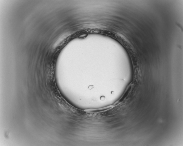 X0000102300775200808152017