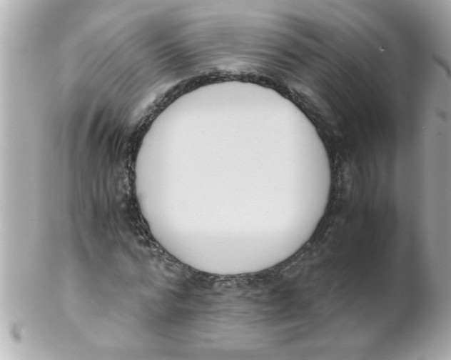X0000102300776200808152017