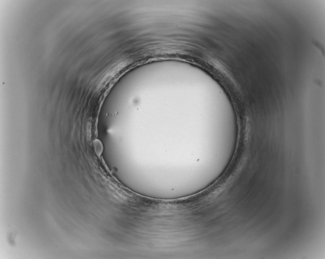 X0000102300777200808152016