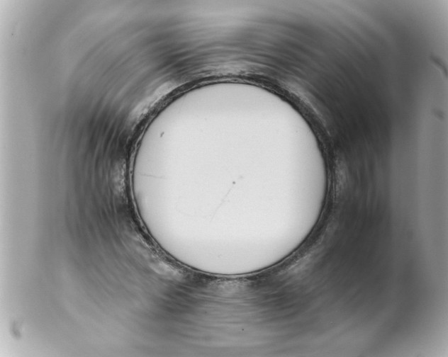 X0000102300778200808152016