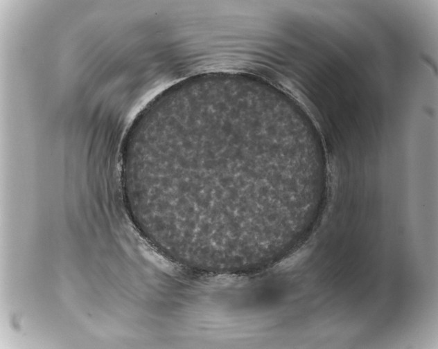 X0000102300779200808152016