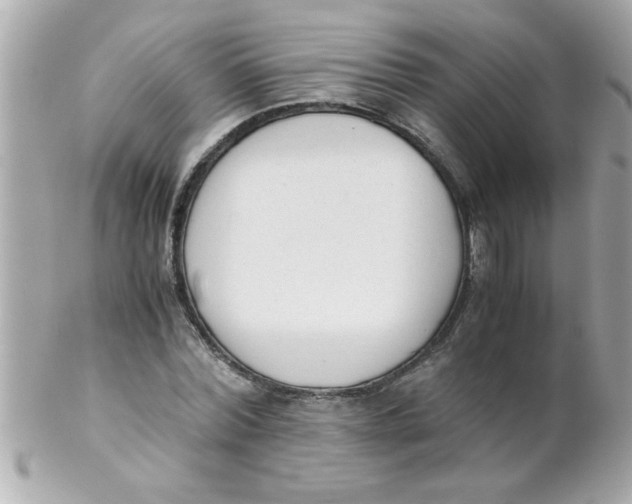 X0000102300780200808152016