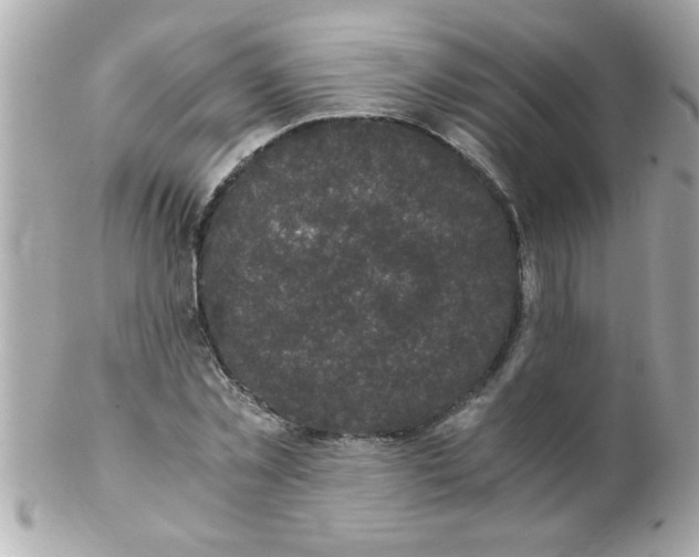 X0000102300781200808152016