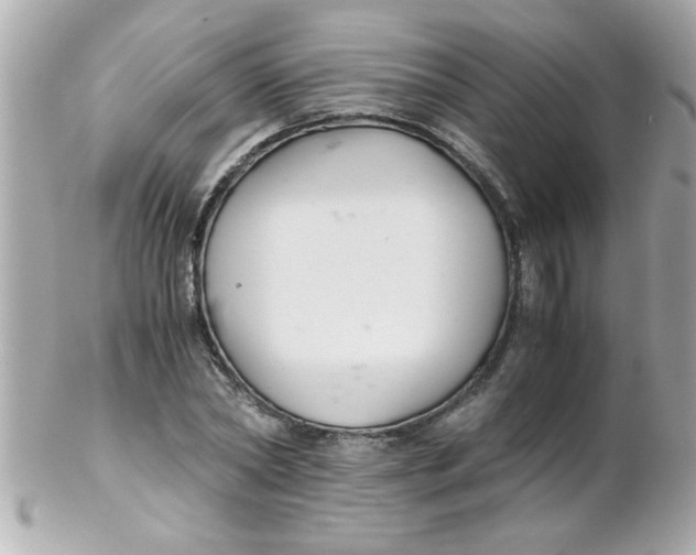 X0000102300782200808152016