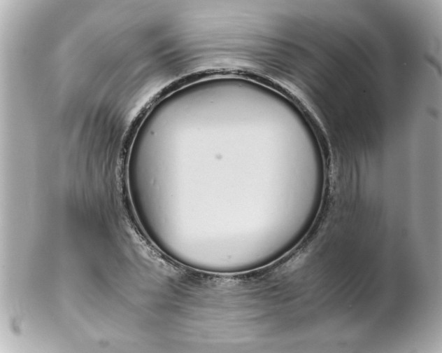 X0000102300783200808152016