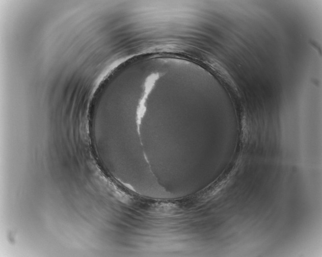 X0000102300784200808152016