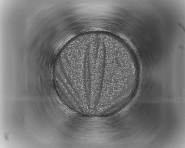 X0000102300785200808152016