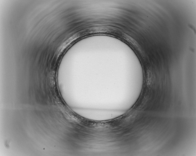 X0000102300786200808152016