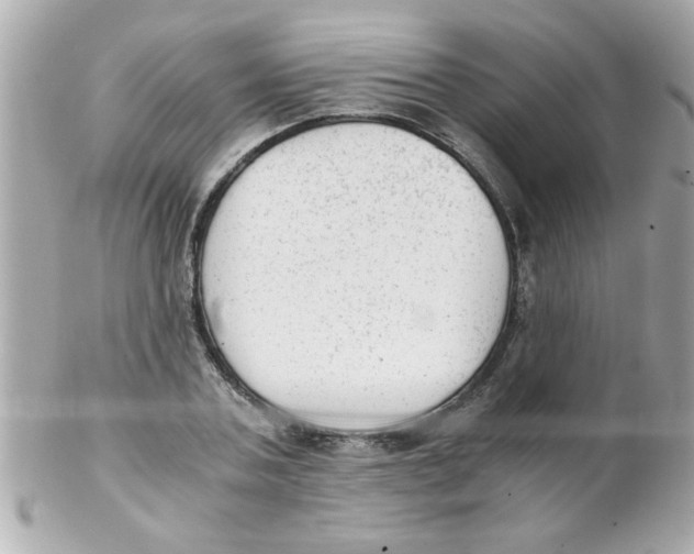 X0000102300787200808152016