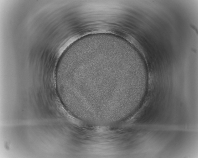 X0000102300789200808152016