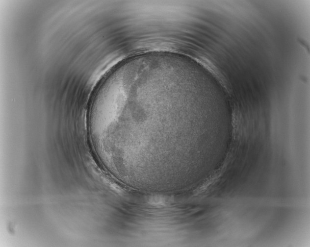 X0000102300790200808152016