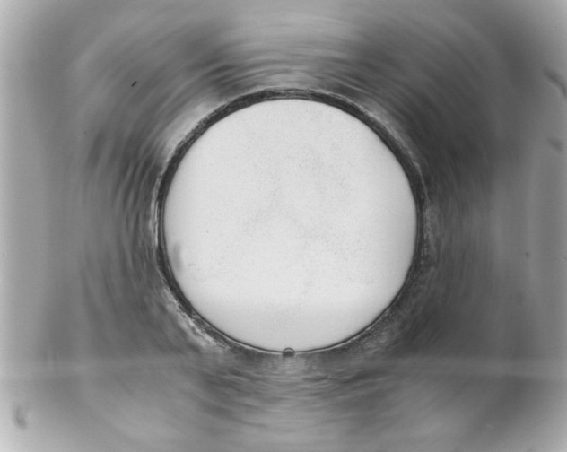 X0000102300791200808152016
