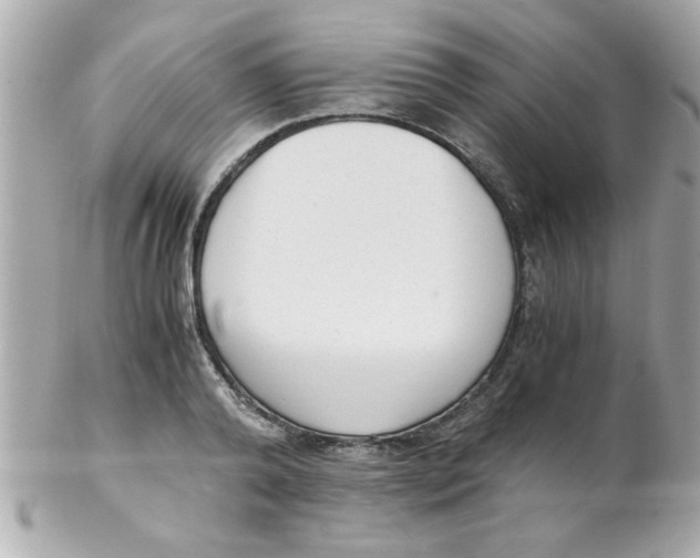 X0000102300792200808152016