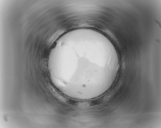 X0000102300793200808152016