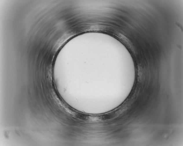 X0000102300794200808152016