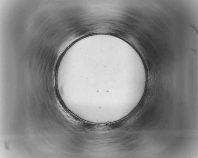 X0000102300795200808152016