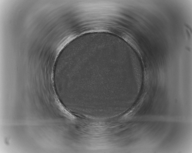 X0000102300797200808152016