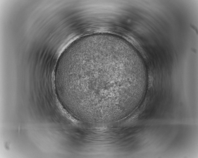 X0000102300798200808152016