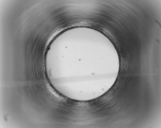 X0000102300800200808152016
