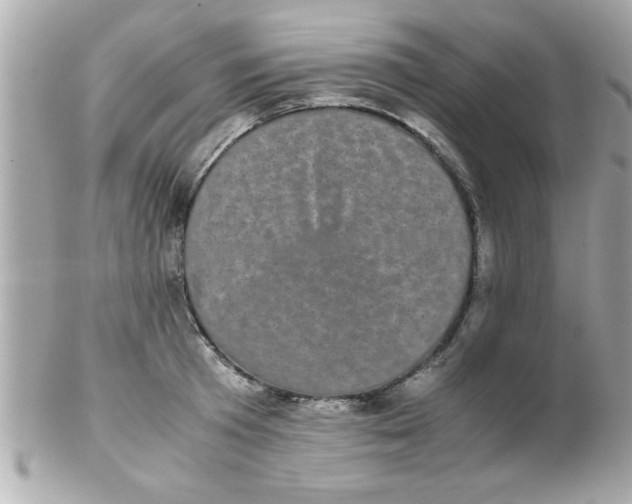 X0000102300801200808152016
