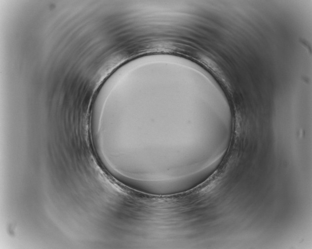 X0000102300802200808152016