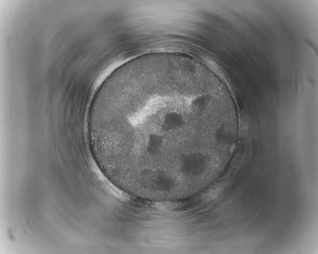 X0000102300803200808152016