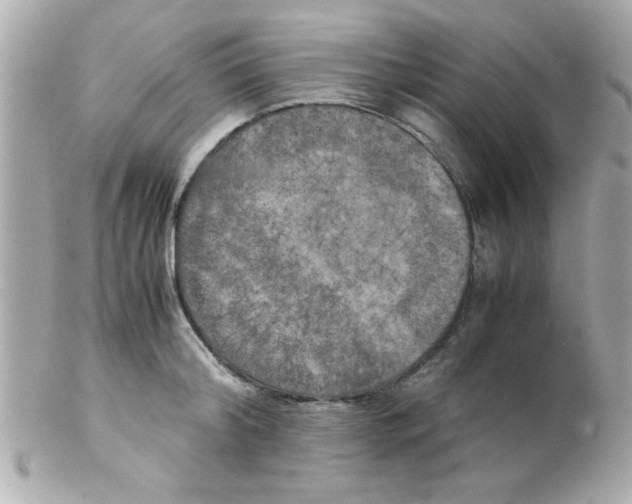 X0000102300804200808152016