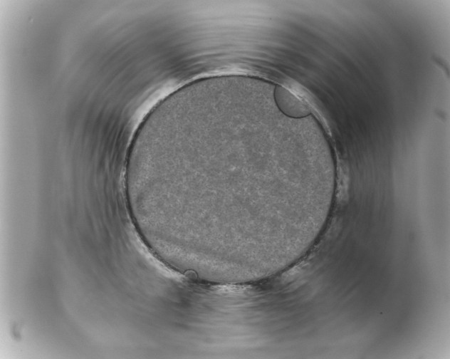 X0000102300805200808152016