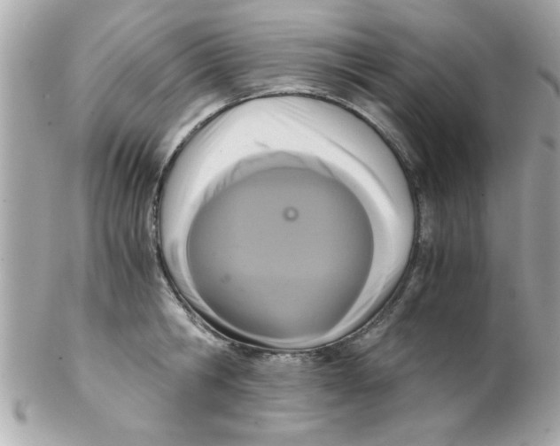 X0000102300806200808152016