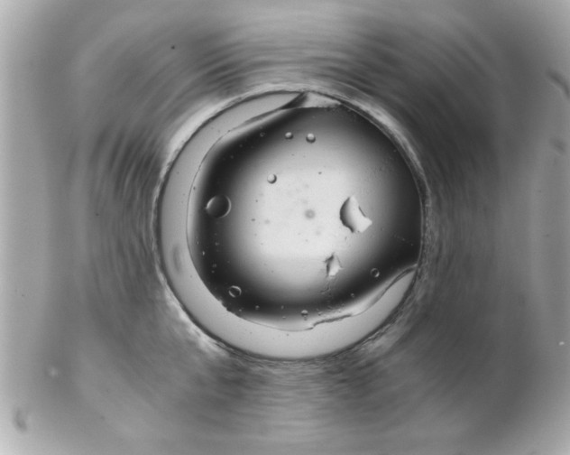 X0000102300807200808152016