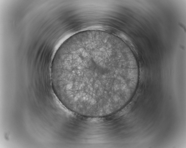 X0000102300808200808152016