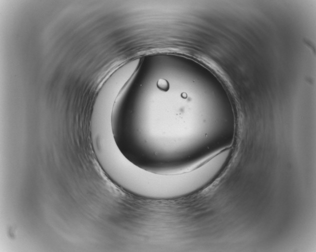 X0000102300809200808152016