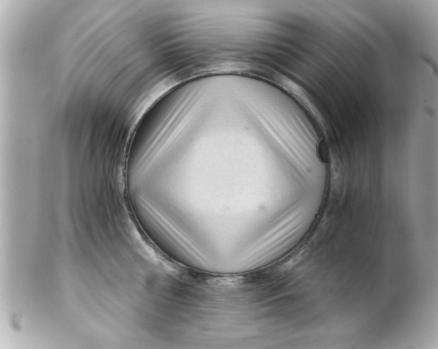 X0000102300810200808152016