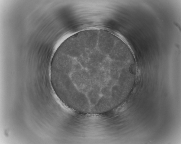 X0000102300811200808152016