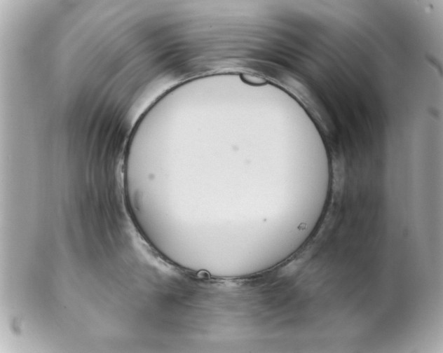 X0000102300814200808152016