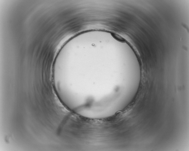 X0000102300815200808152016