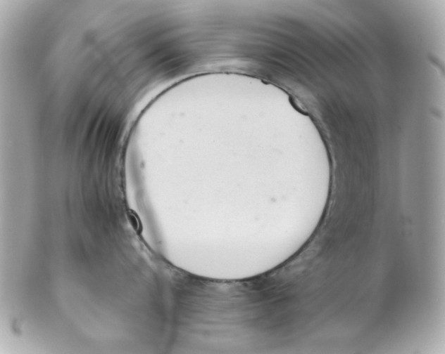 X0000102300816200808152016