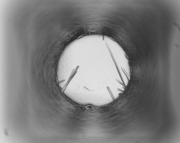 X0000102300817200808152015