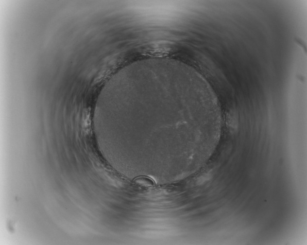 X0000102300818200808152015