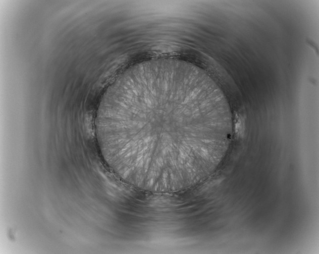 X0000102300819200808152015