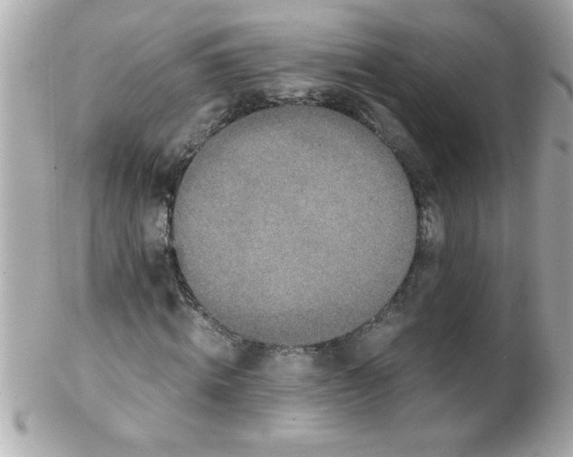X0000102300820200808152015