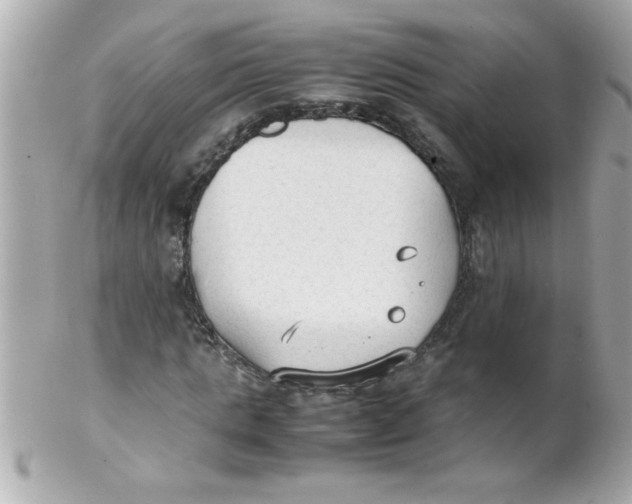 X0000102300821200808152015