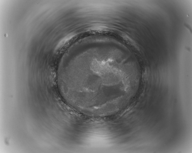 X0000102300822200808152015